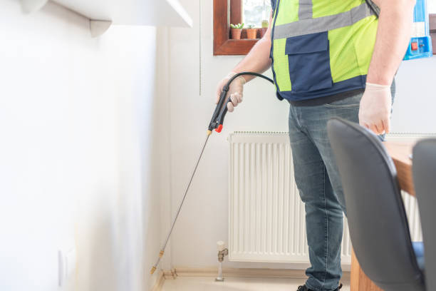 Best Termite Control Services  in Yutan, NE