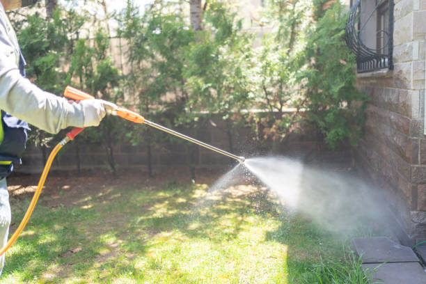 Best Pest Control Near Me in Yutan, NE