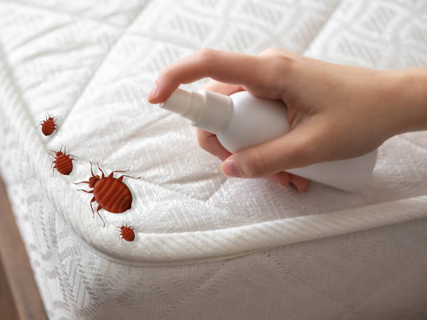 Pest Control Cost in Yutan, NE