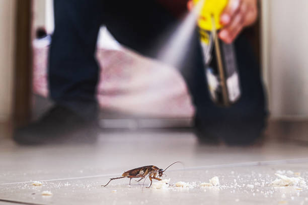 Trusted Yutan, NE Pest Control Experts