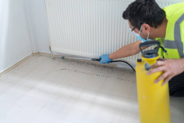 Best Exterminator Services  in Yutan, NE